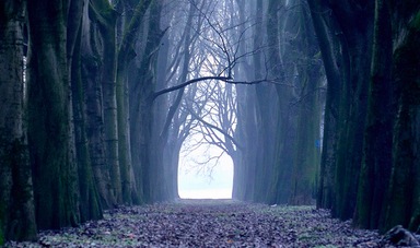 睡眠は心の弱さ